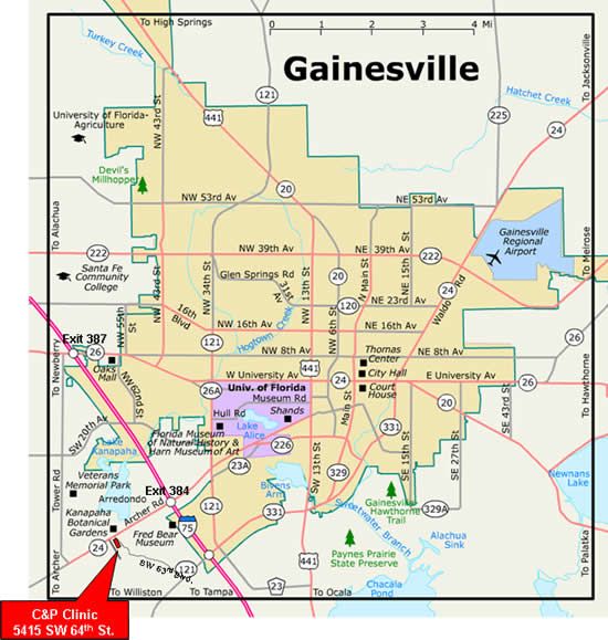 dating gainesville fl